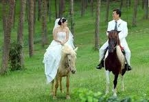 TRĂNG MẬT HÀ NỘI - ĐÀ LẠT - HÀ NỘI  04 NGÀY 03 ĐÊM