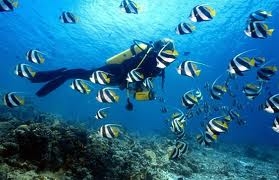 HÀ NỘI - NHA TRANG - ĐÀ LẠT - HÀ NỘI    05 NGÀY 04 ĐÊM